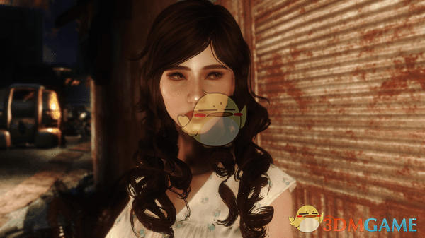 《辐射4》家庭主妇预设MOD