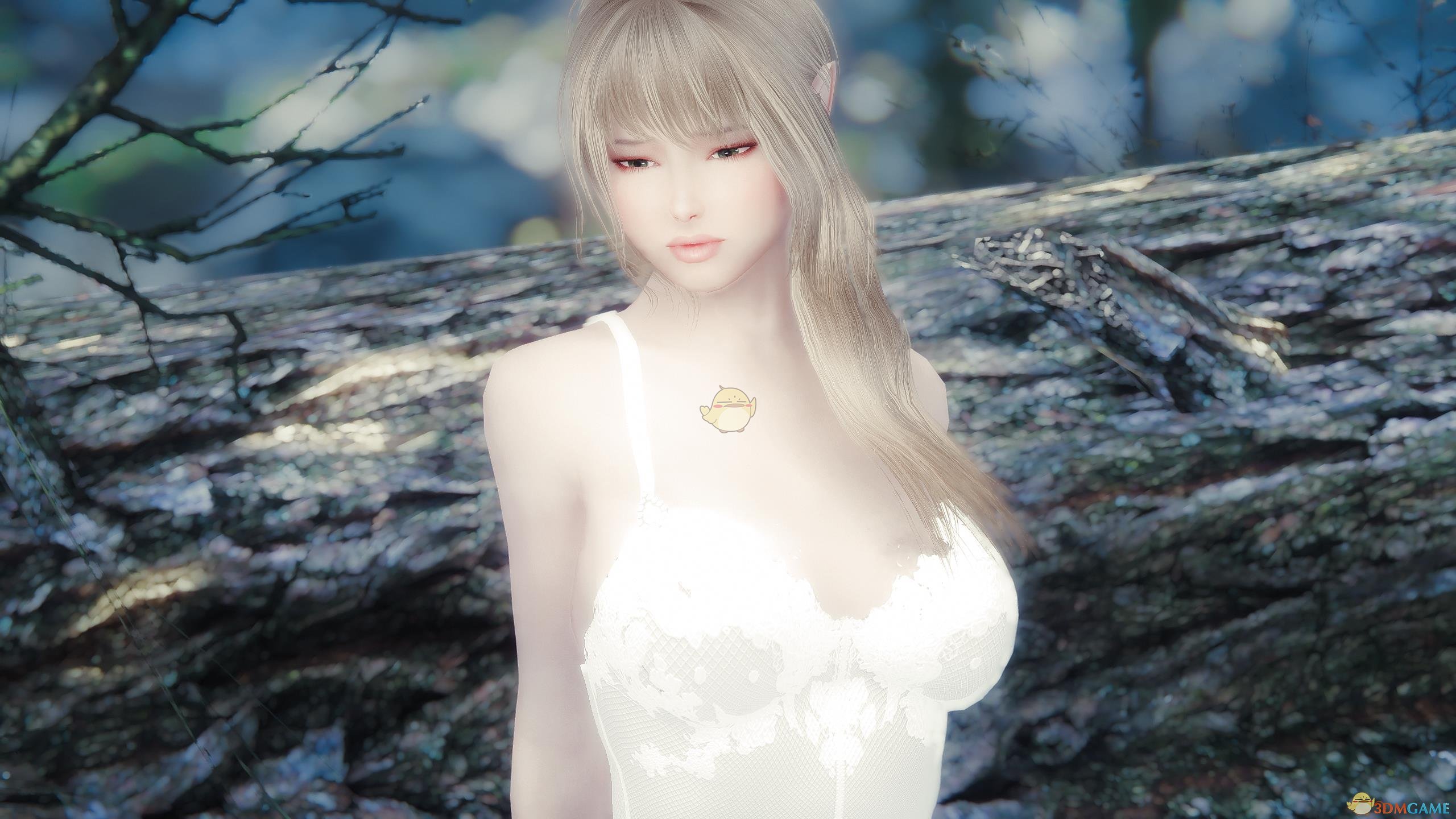 《上古卷轴5：天际》Aelesse洁白美丽女性独立随从MOD