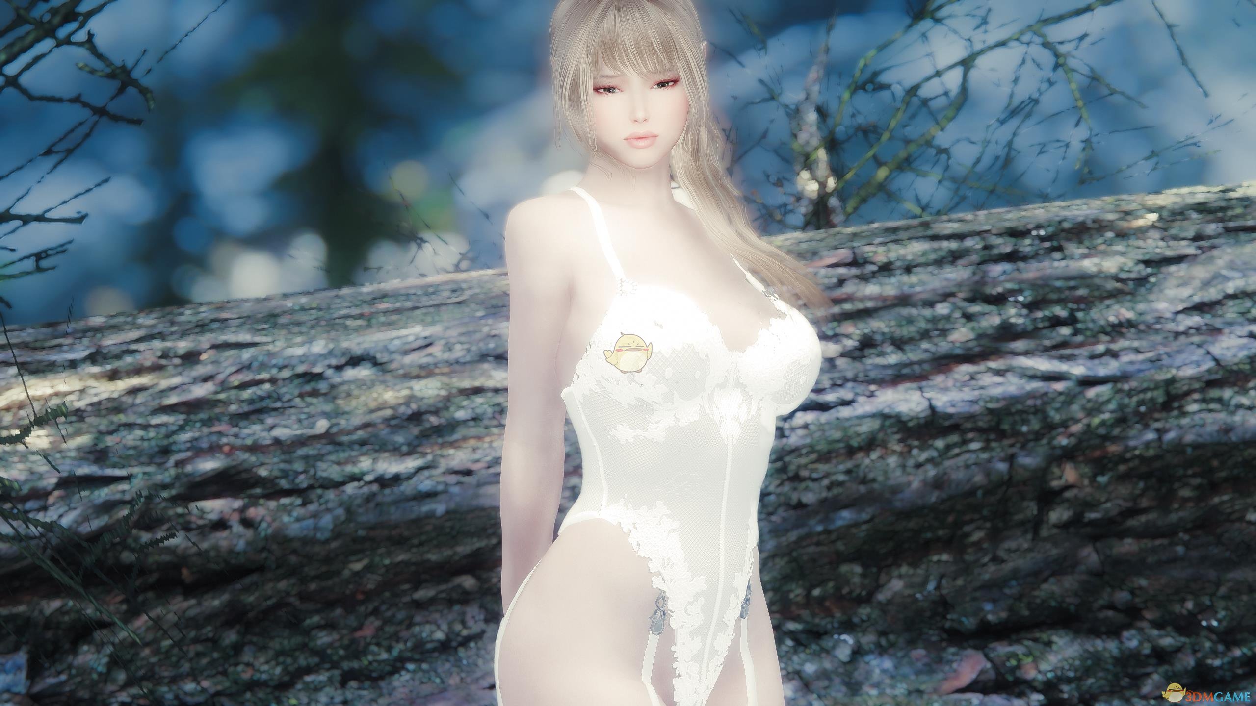 《上古卷轴5：天际》Aelesse洁白美丽女性独立随从MOD