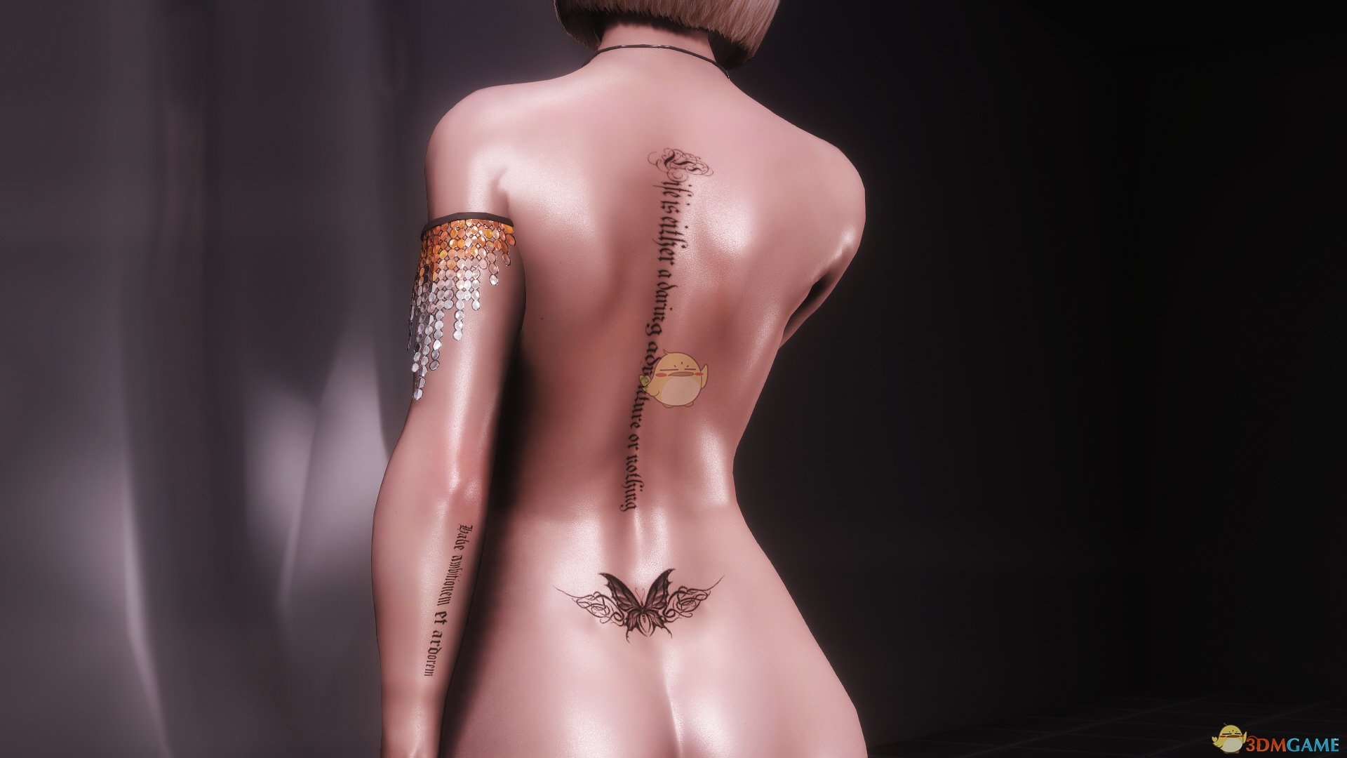 《上古卷轴5：天际》Sina火辣身材性感女性独立随从MOD