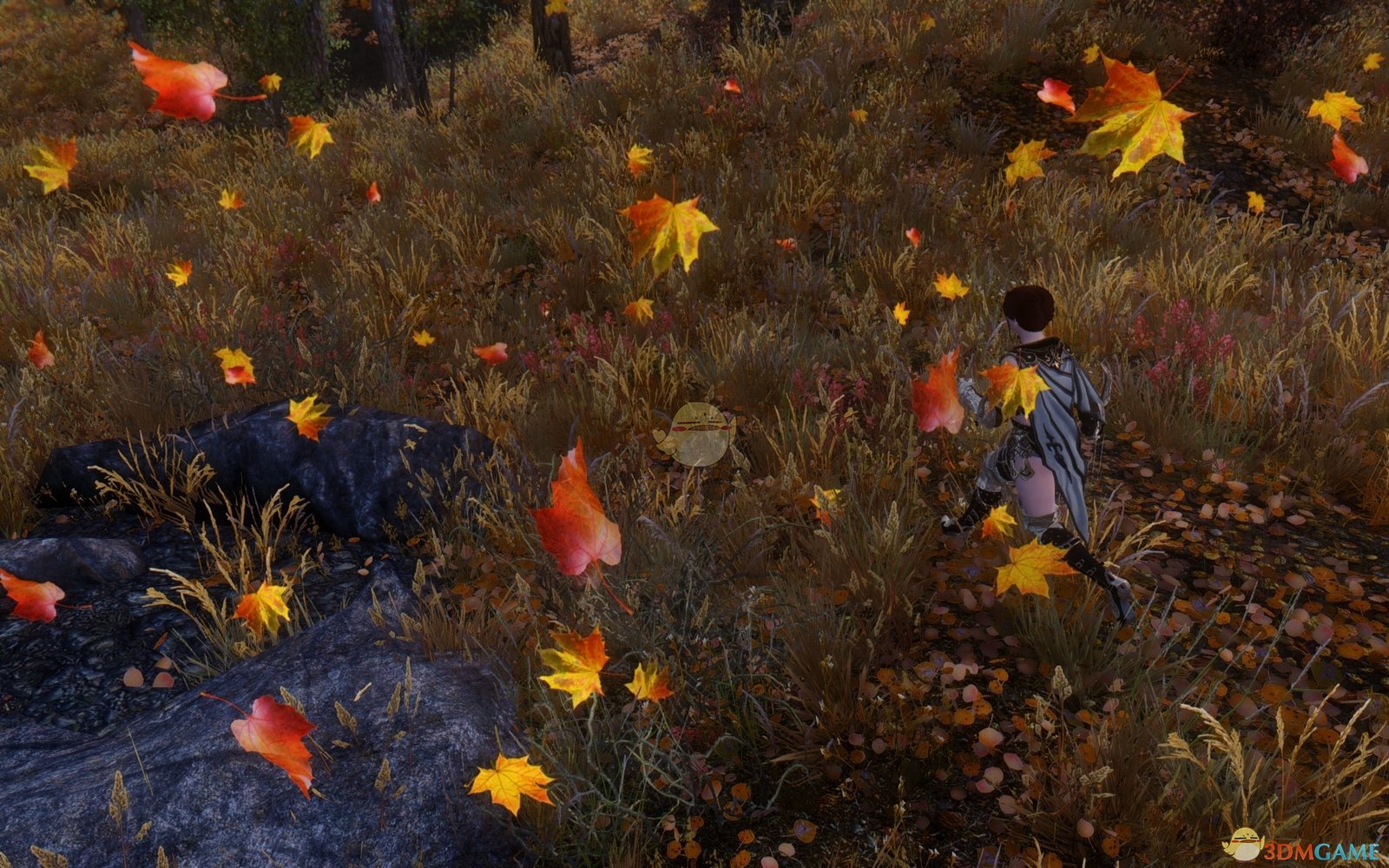 《上古卷轴5：天际》好看的粒子效果MOD