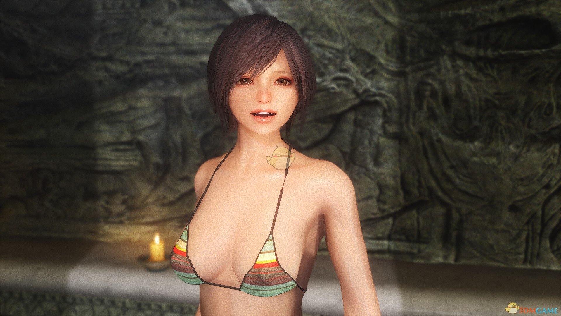 《上古卷轴5：天际》可爱短发女性独立随从MOD