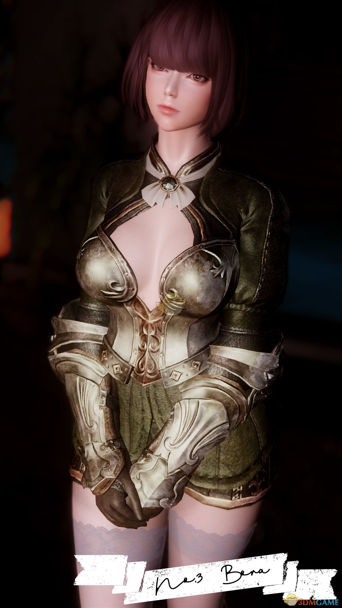 《上古卷轴5：天际》Bora紫发可爱女性弓箭手随从MOD