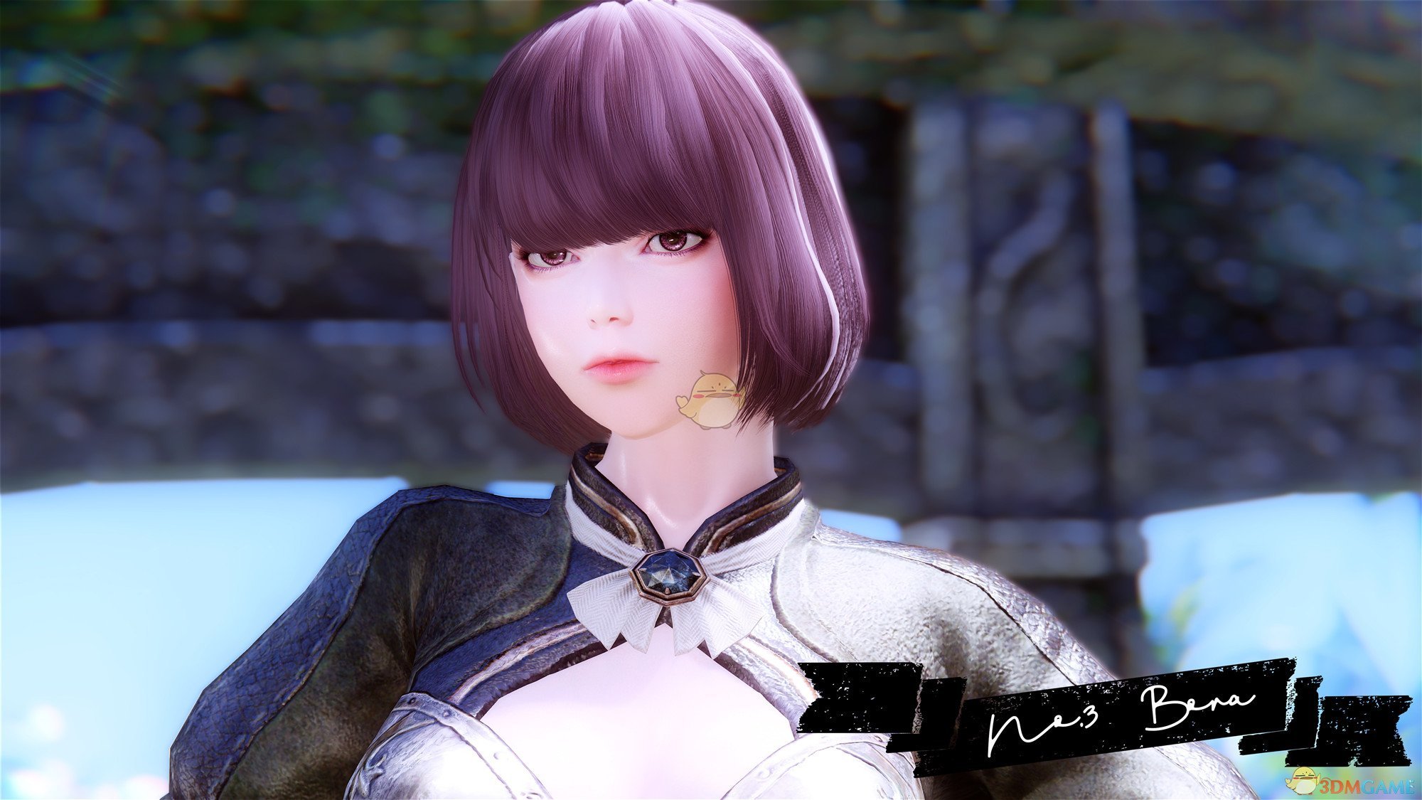 《上古卷轴5：天际》Bora紫发可爱女性弓箭手随从MOD