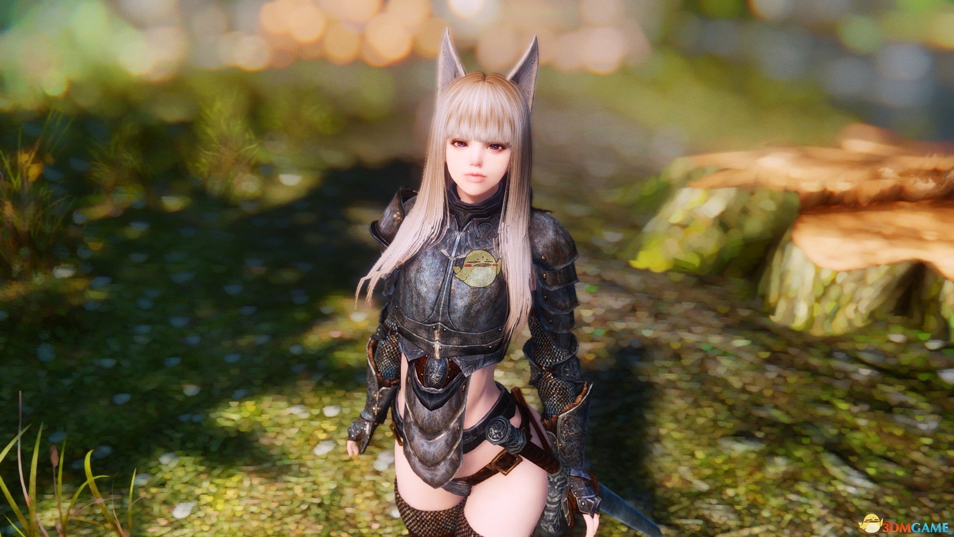 《上古卷轴5：天际》Allusia白色长发高冷女性随从MOD