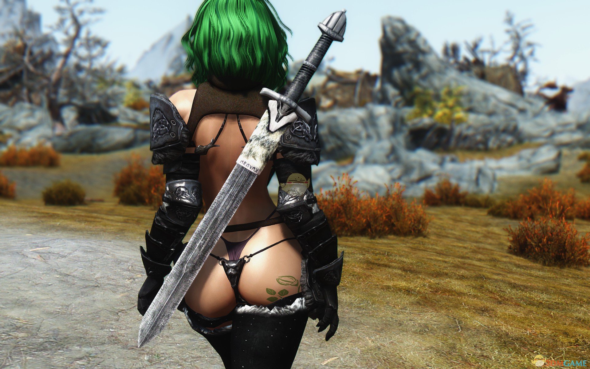 《上古卷轴5：天际》祖母绿性感女性随从MOD