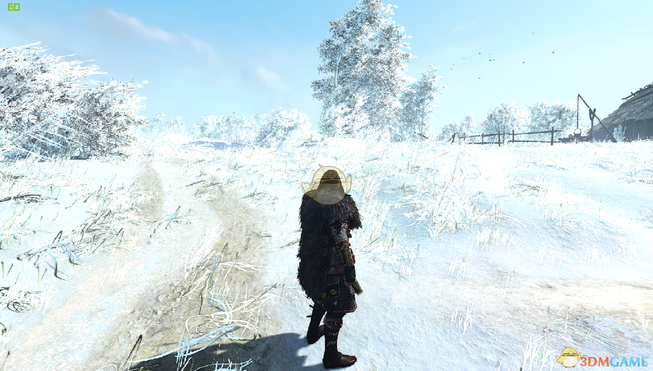 《巫师3：狂猎》冬季巫师世界MOD