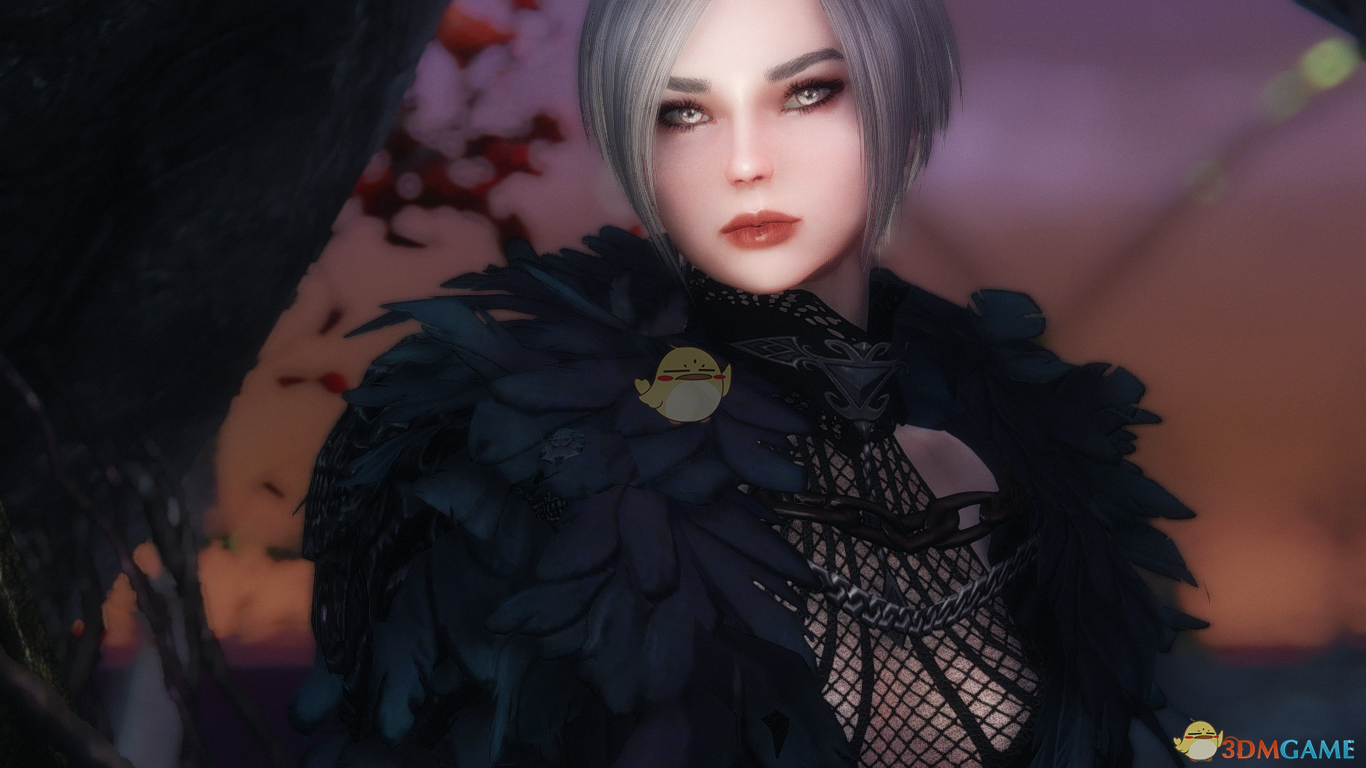 《上古卷轴5：天际》Tiss黑暗召唤者女性独立随从MOD