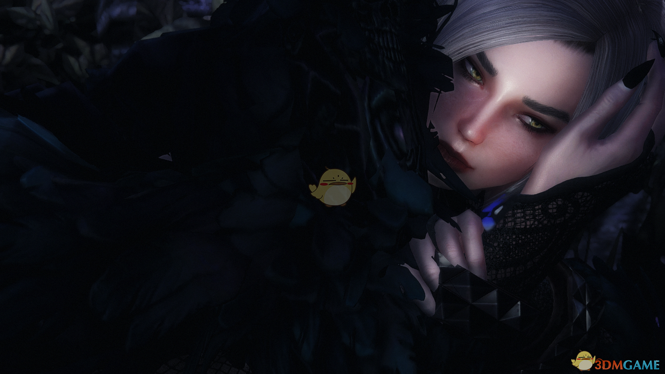 《上古卷轴5：天际》Tiss黑暗召唤者女性独立随从MOD