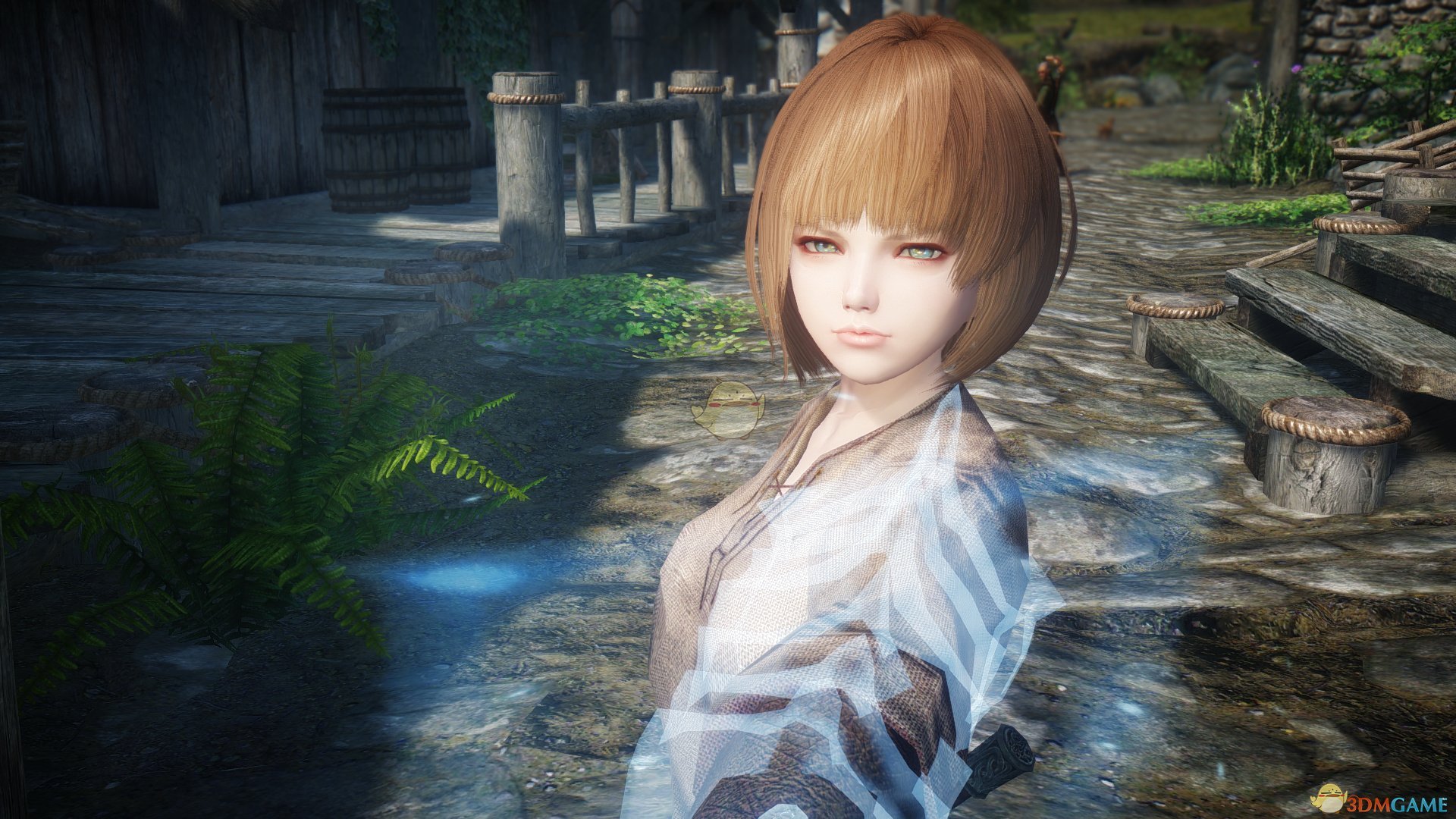 《上古卷轴5：天际》Ratina可爱短发女性随从MOD