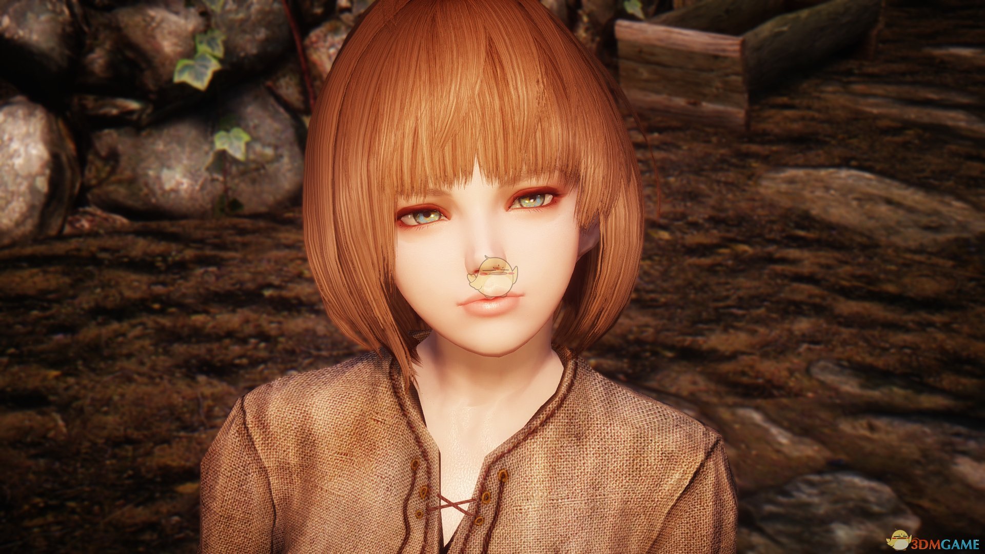 《上古卷轴5：天际》Ratina可爱短发女性随从MOD