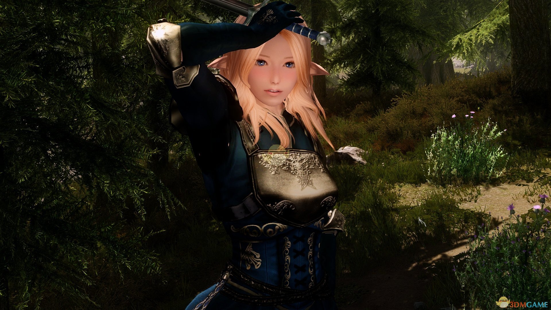 《上古卷轴5：天际》Cristina精灵美丽女性随从MOD