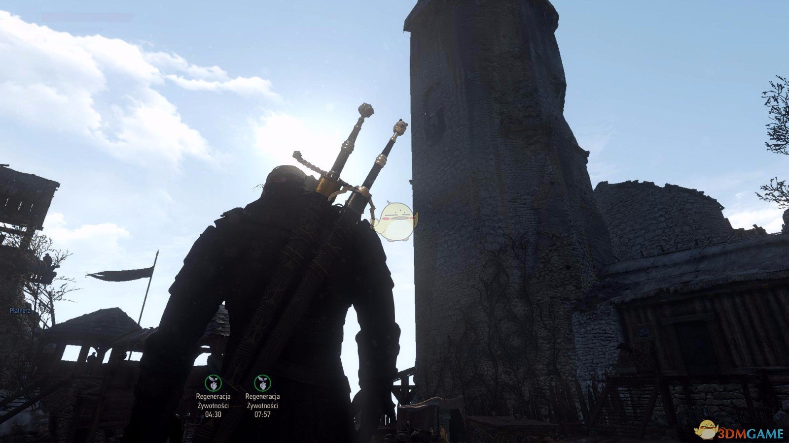 《巫师3：狂猎》真实的食物和饮料MOD