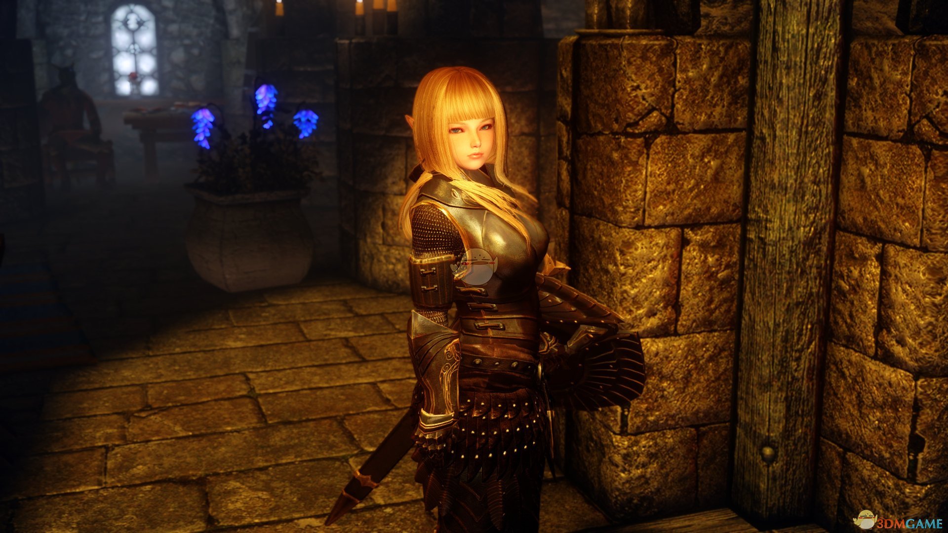 《上古卷轴5：天际》Airin金发可爱女性随从MOD