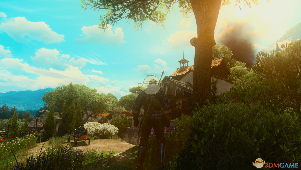 《巫师3：狂猎》去除镜头特效MOD