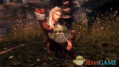 《上古卷轴5：天际》Elena银发高冷系女性独立随从MOD