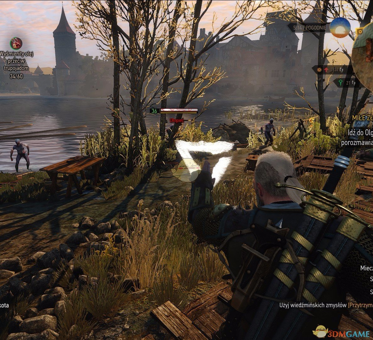 《巫师3：狂猎》亚克西法印加强MOD