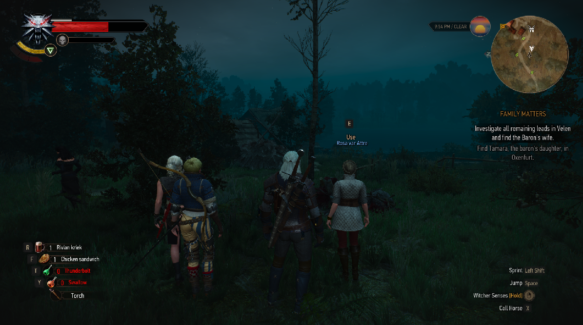 《巫师3：狂猎》招募随从MOD