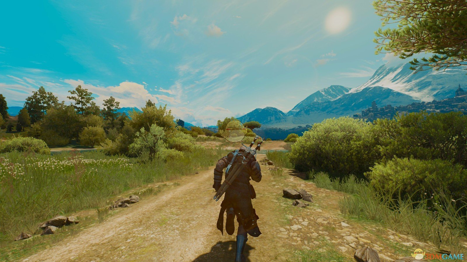 《巫师3：狂猎》自定义视野大小MOD