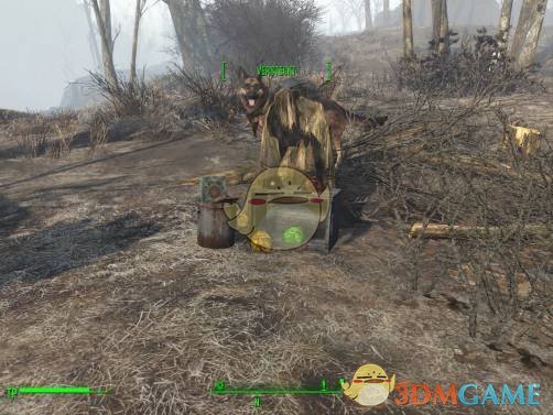 《辐射4》小午餐包MOD