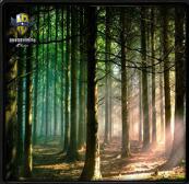 《新森林大逃亡》v1.1.61[war3地图]