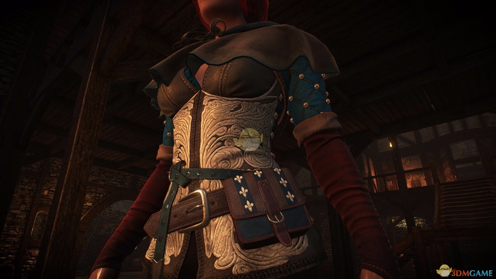 《巫师3：狂猎》衣服裤子纹理修改MOD