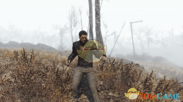 《辐射4》辐射3和新维加斯的同伴预设包MOD