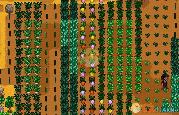 《星露谷物语》作物浇水显示优化MOD