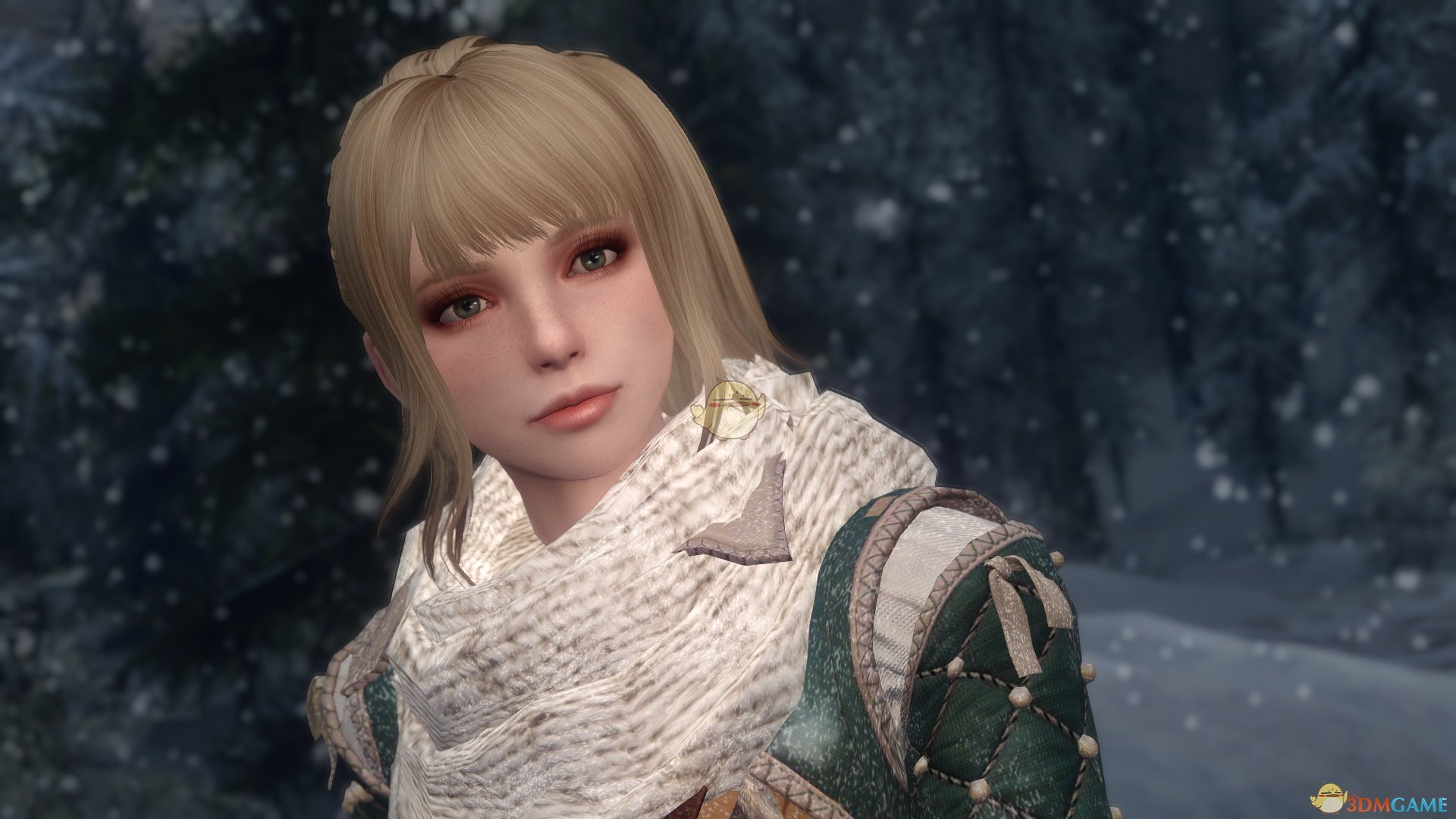 《上古卷轴5：天际重置版》Rabi日语独立女性随从MOD