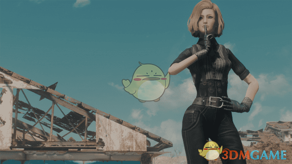 《辐射4》Apart的女性预设包MOD