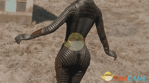 《辐射4》Apart的女性预设包MOD