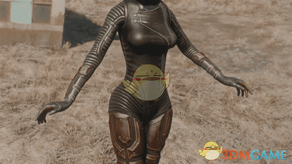 《辐射4》Apart的女性预设包MOD