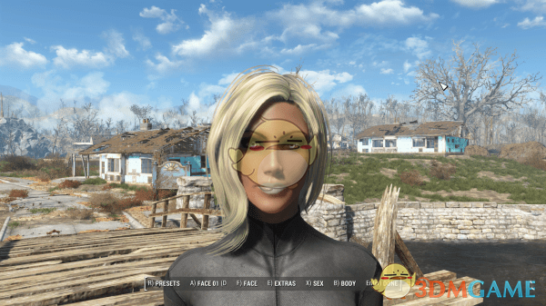 《辐射4》Beef的个人预设MOD