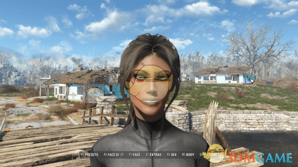 《辐射4》Beef的个人预设MOD