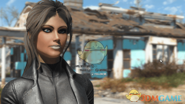 《辐射4》Beef的个人预设MOD