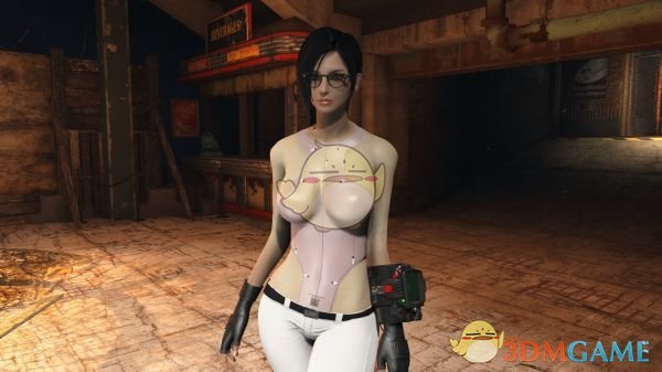 《辐射4》东方美人身体预设MOD