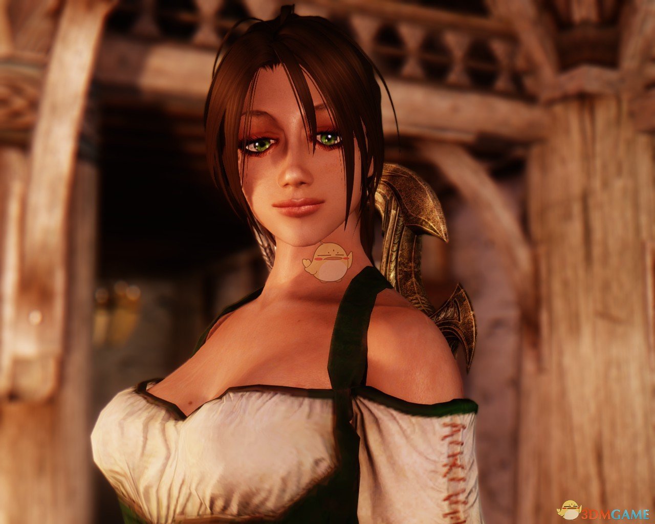 《上古卷轴5：天际》Granna神射手妹子独立随从MOD