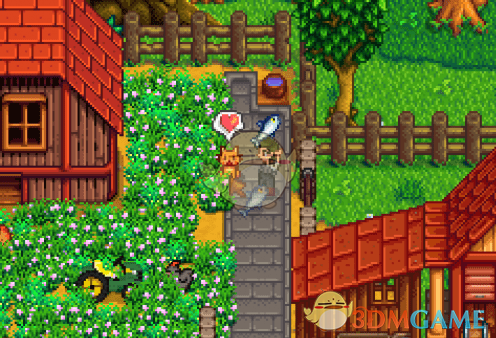 《星露谷物语》向动物赠送礼物MOD