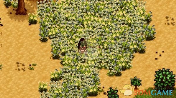 《星露谷物语》野花野草MOD