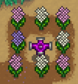 《星露谷物语》风信子和三色堇MOD