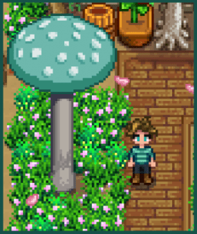 《星露谷物语》蘑菇树美化MOD