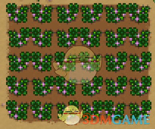 《星露谷物语》新的作物——幸运四叶草MOD