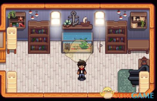 《星露谷物语》海岸风家具包MOD