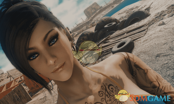 《辐射4》戴安娜美丽女性预设MOD