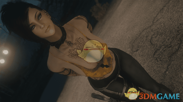 《辐射4》戴安娜美丽女性预设MOD