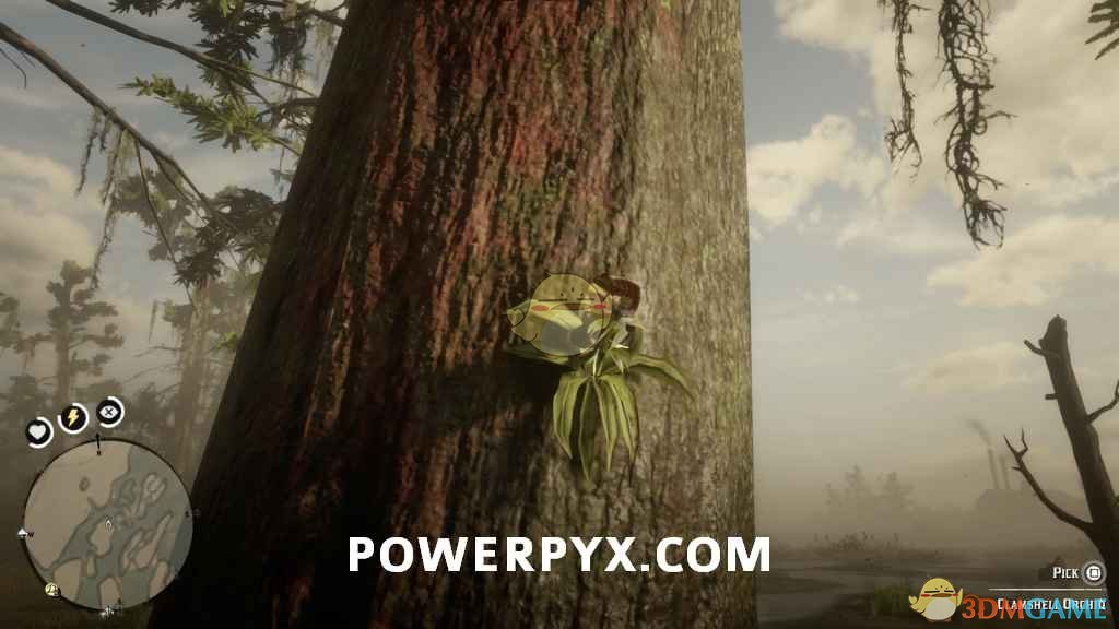 《荒野大镖客2》全异宝植物采集位置一览