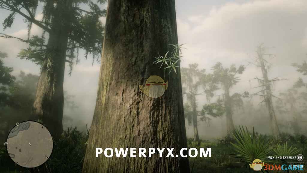 《荒野大镖客2》全异宝植物采集位置一览