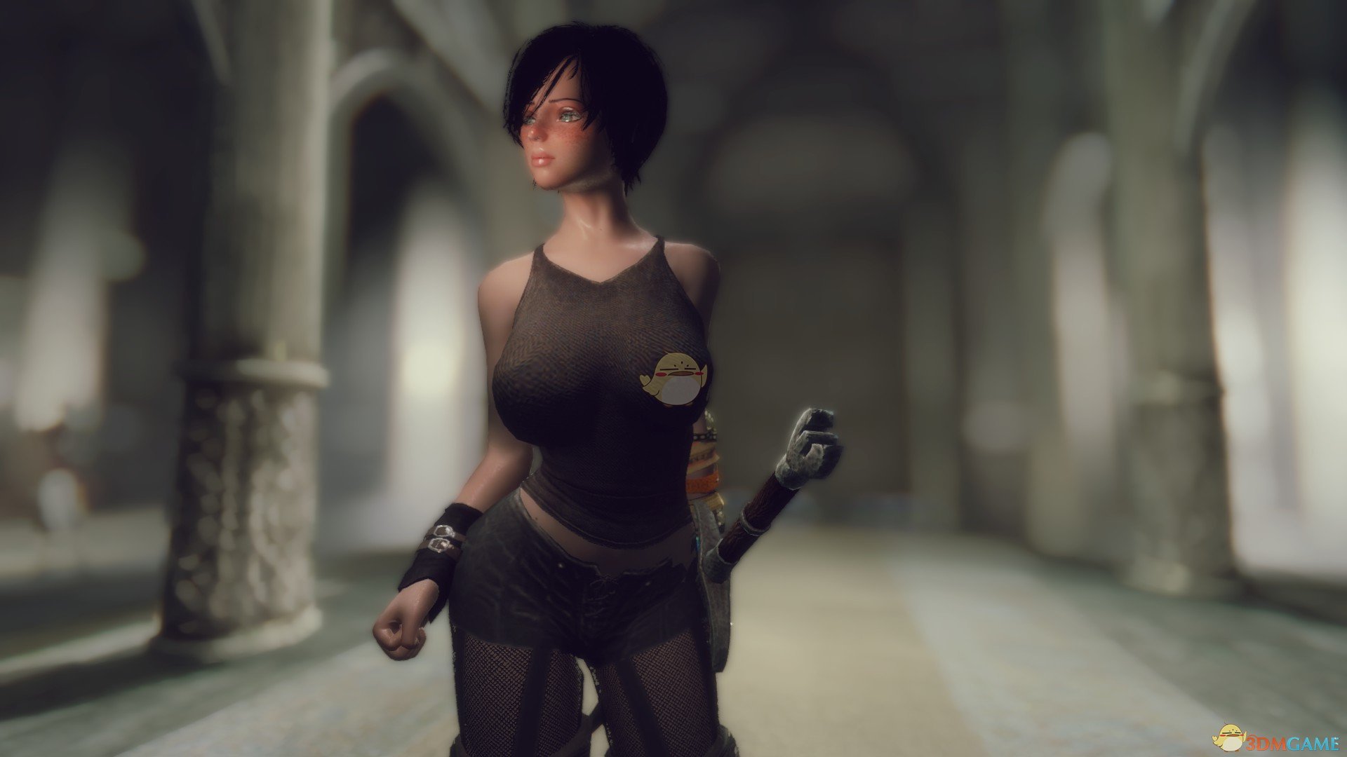 《上古卷轴5：天际》Seraphine冰霜魔法女性随从MOD