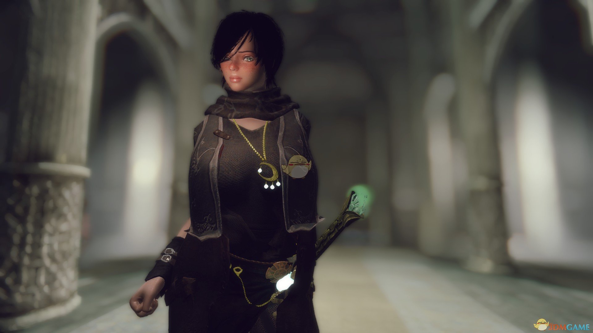 《上古卷轴5：天际》Seraphine冰霜魔法女性随从MOD