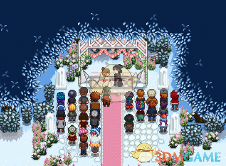 《星露谷物语》不同的结婚场景MOD